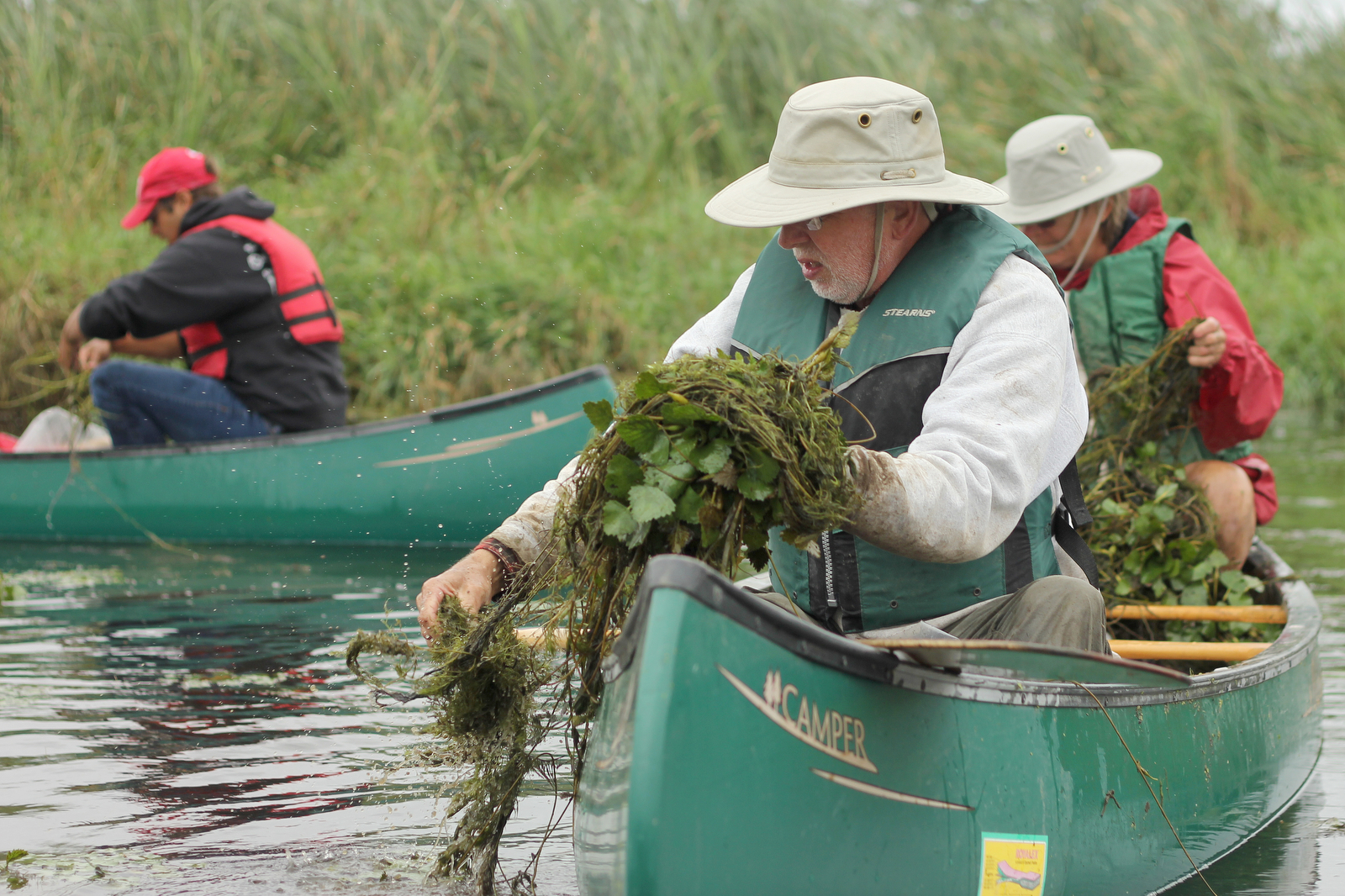 volunteers-water chestnut